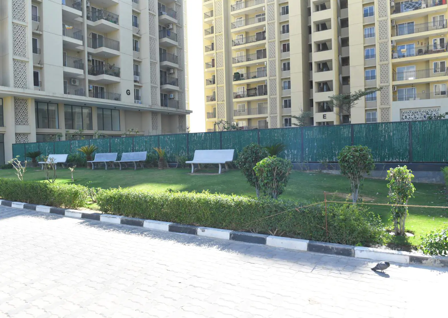 Landscaped lawn with benches between the towers